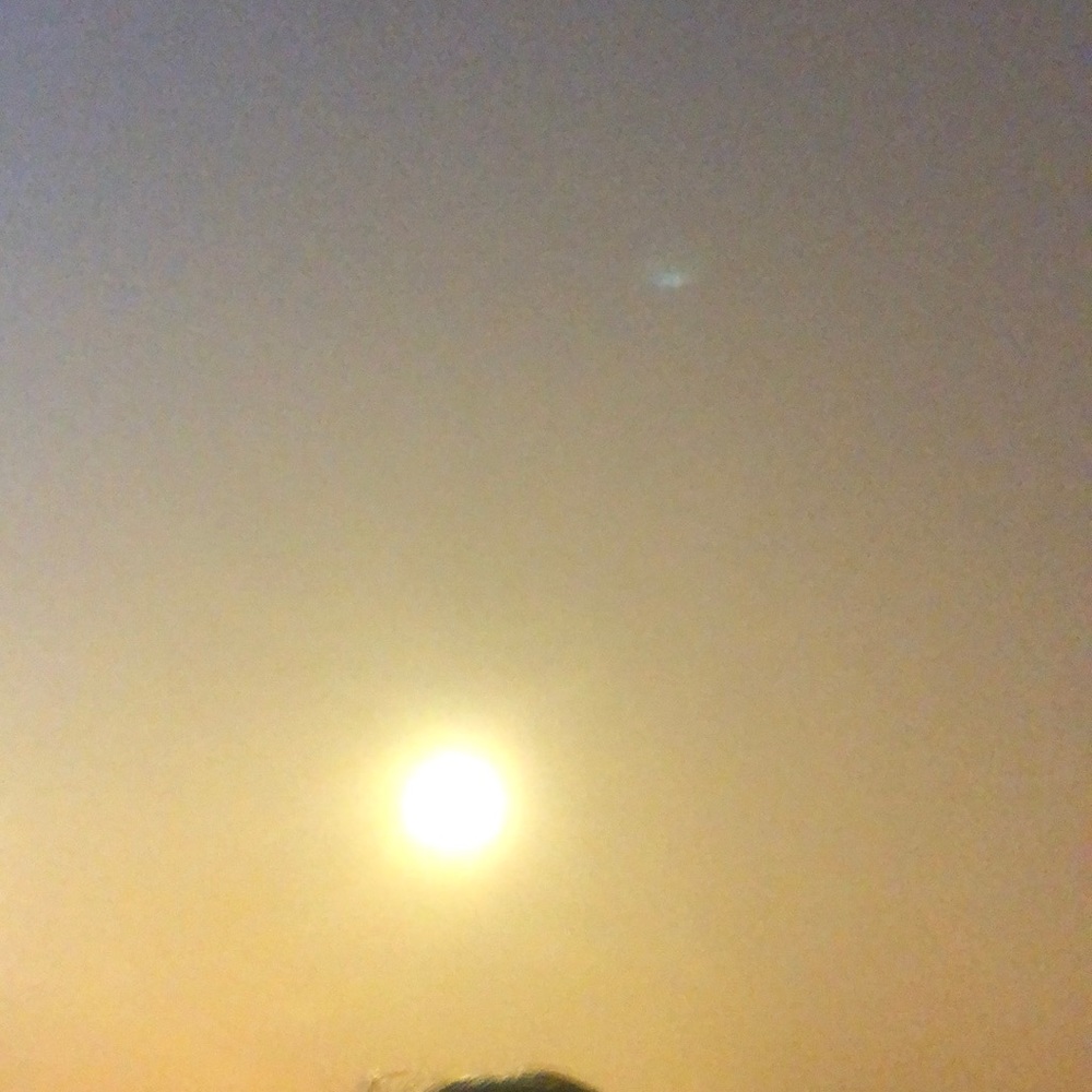 Meet your Posher, Trina